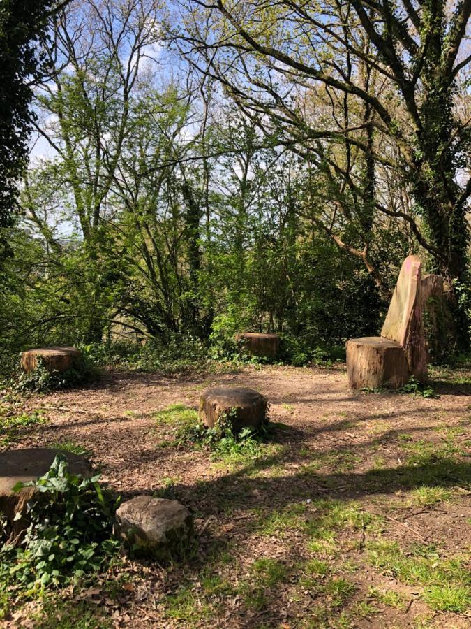 Appartement Au Calme Nature Et Centre Ville Quimper Eksteriør billede